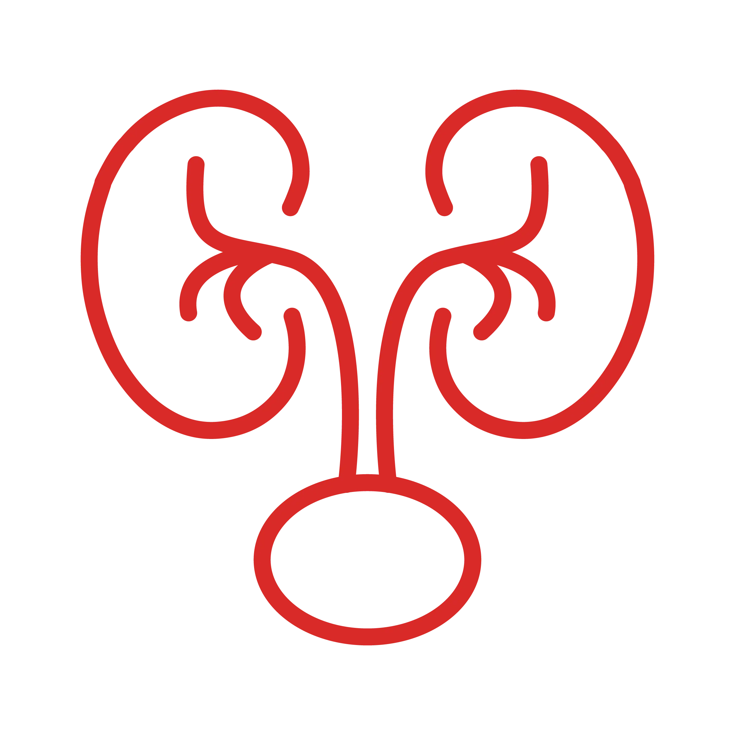 Kidney icon
